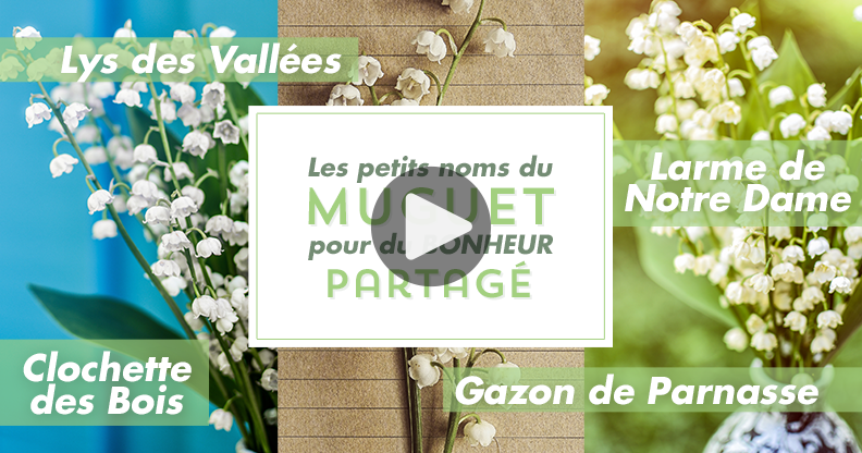 Ma Carte Les Noms Populaires Du Muguet