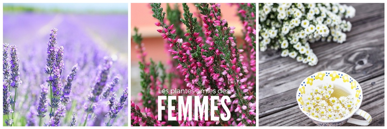 LeMagfemmes - Votre Magazine Féminin